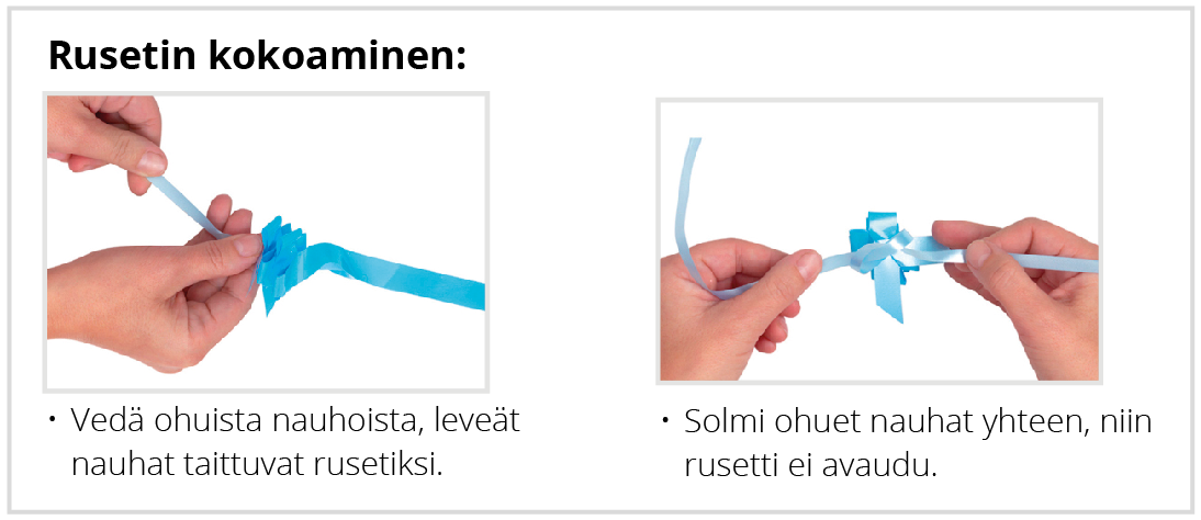vetorusettiohje
